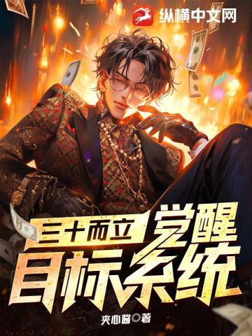 三十而立,觉醒目标系统 三十而立,觉醒目标系统
