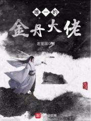 唯一的金丹大佬 唯一的金丹大佬