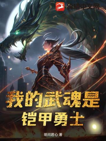我的武魂是铠甲勇士 我的武魂是铠甲勇士