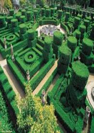 迷宫之谜 迷宫之谜