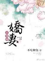 王爷的娇妻 王爷的娇妻