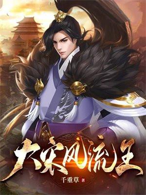 大宋风流王 大宋风流王