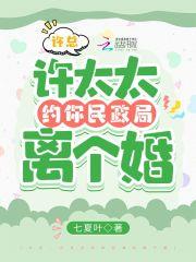 许总,许太太约你民政局离个婚 许总,许太太约你民政局离个婚