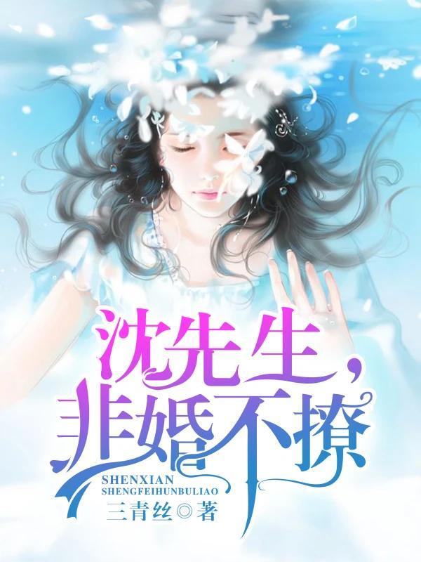 沈先生,非婚不撩 沈先生,非婚不撩