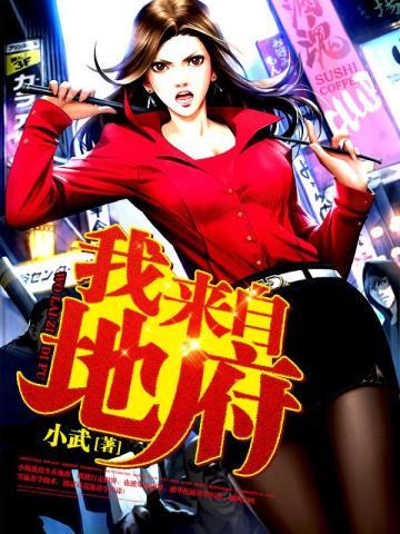 仕途红人之驭娇有术全文免费阅读