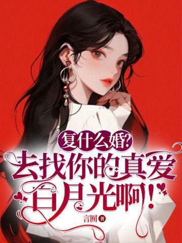 包公探案故事书籍