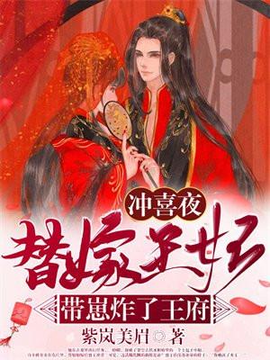 冲喜夜,替嫁王妃带崽炸了王府 冲喜夜,替嫁王妃带崽炸了王府