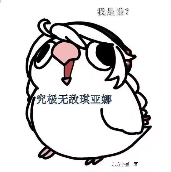 我是谁?究极无敌琪亚娜! 我是谁?究极无敌琪亚娜!