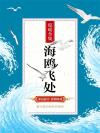 海鸥飞处 海鸥飞处