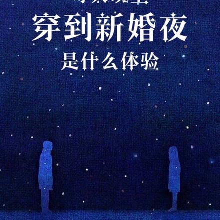 每天晚上穿到新婚夜是什么体验