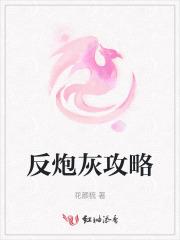 反炮灰攻略 反炮灰攻略