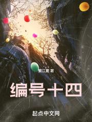 编号十四 编号十四