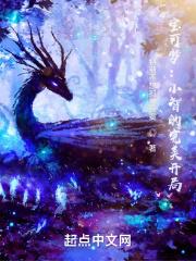 宝可梦:小智的完美旅途 宝可梦:小智的完美旅途