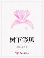 大夏世子笔趣阁