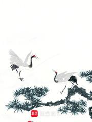 大夏唯一五星将军全文免费阅读