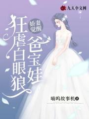 精灵宝可梦萌娘版