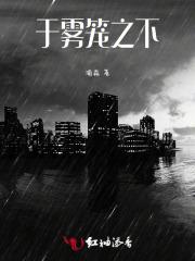 于雾笼之下 于雾笼之下