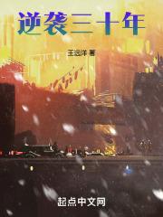 逆袭三十年 逆袭三十年