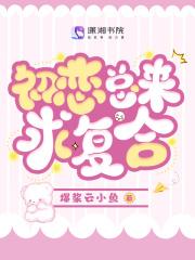 嫡女惊华神宗主人是谁