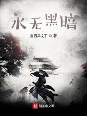 永无黑暗 永无黑暗