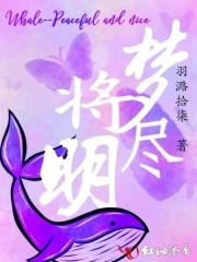 梦尽将明 梦尽将明