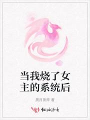 当我烧了女主的系统后