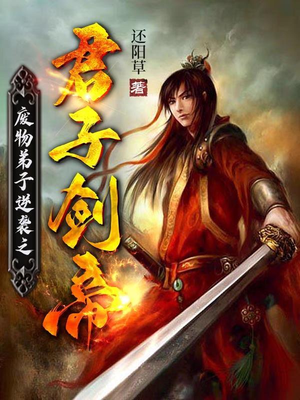 亮剑打平安县城 亮剑打平安县城