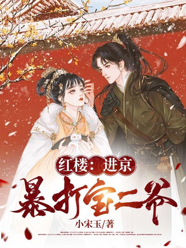 红楼:进京暴打宝二爷 红楼:进京暴打宝二爷