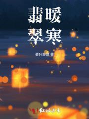 七十年代穿二代无防盗 七十年代穿二代无防盗