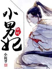 敛财小男妃 敛财小男妃