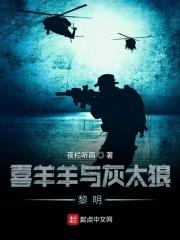 蓝皮本草纲目哪里有卖