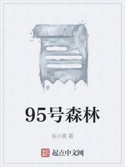 95号森林