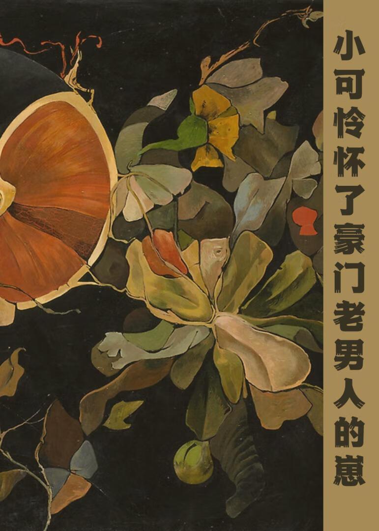 小可怜怀了豪门老男人的崽 小可怜怀了豪门老男人的崽