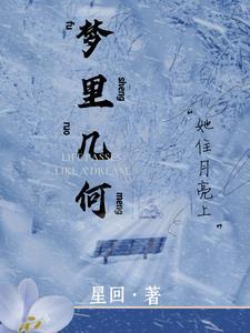 梦里几何 梦里几何