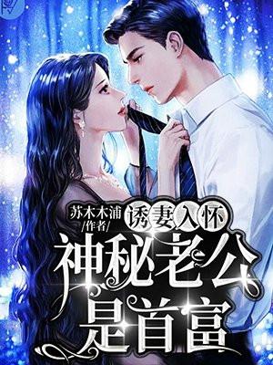 闪婚先生是总裁