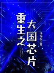 重生之大国芯片 重生之大国芯片