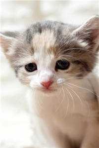 完整阅读无敌狂医 完整阅读无敌狂医