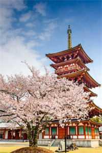 重生:舔狗首富杜绝恋爱脑完整作品阅读 重生:舔狗首富杜绝恋爱脑完整作品阅读