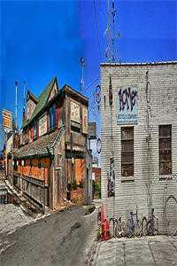 和离后帝王求我入宫