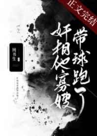 雪鹰领主等级划分