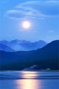 医品狂妃,王爷请和离文章全文 医品狂妃,王爷请和离文章全文