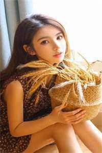 畅读佳作推荐马桶人之最后一个人类 畅读佳作推荐马桶人之最后一个人类