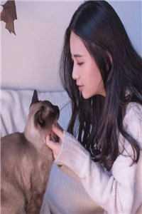 菜小鸟游戏解说视频 菜小鸟游戏解说视频