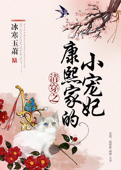 清穿之康熙家的小宠妃 清穿之康熙家的小宠妃