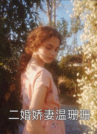 长篇小说火焰执行官