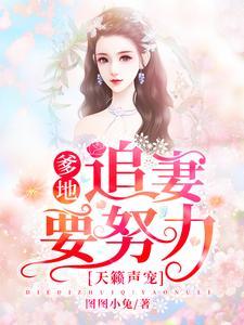 傅总他想父凭子贵盛以安