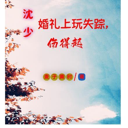 你成了军阀txt八零