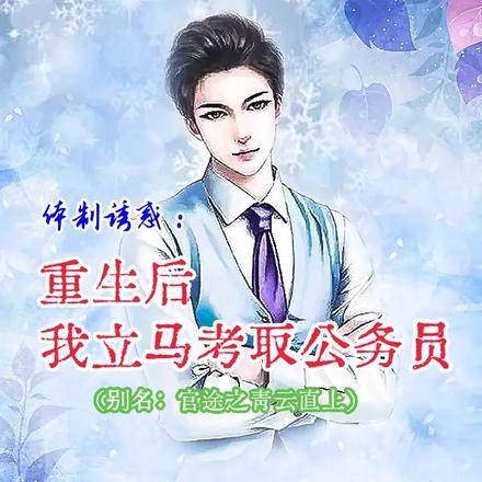 官途之青云直上 官途之青云直上