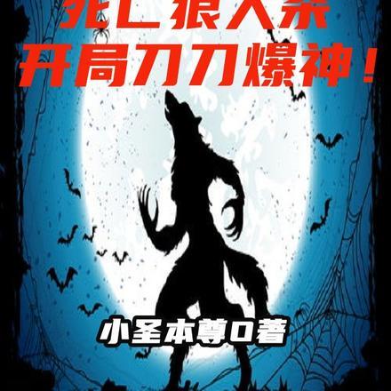 超品渔夫免费全本阅读