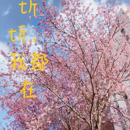 圻圻,我都在 圻圻,我都在